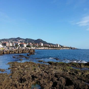 come arrivare a livorno