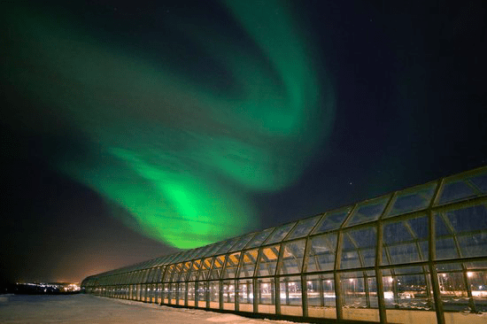 Arktikum