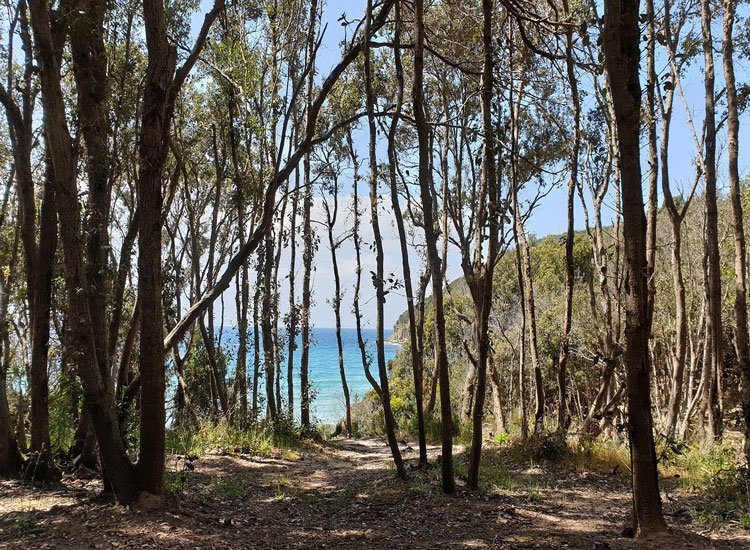 Riserva delle Bandite Follonica