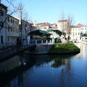 isola della pescheria treviso